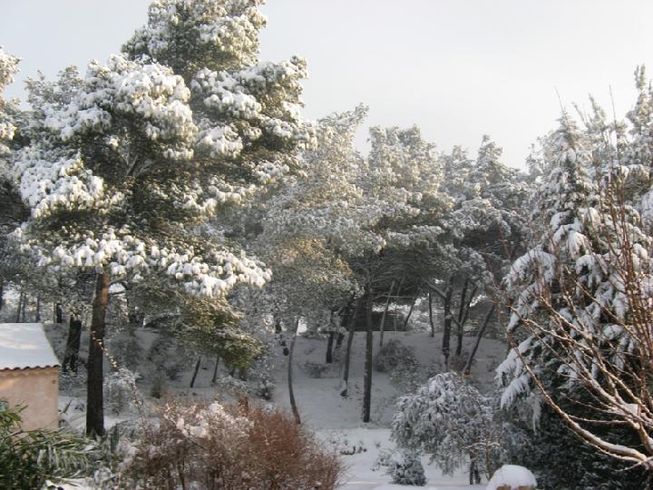 2009-01 001.JPG